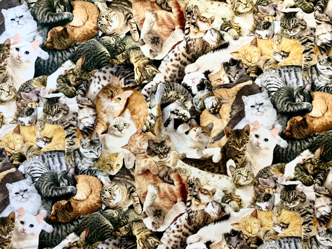 Cuddling Cats - Timeless Treasures - Multi Fabric - 1/2 Meter - Cotton Fabric