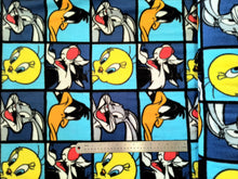 Load image into Gallery viewer, Looney Tunes Fleece Fabric - 1/2 Meter
