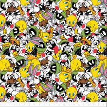 Load image into Gallery viewer, Looney Tunes Party - Minky - 1/2 Meter
