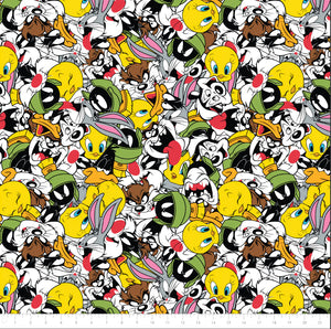 Looney Tunes Party - Minky - 1/2 Meter