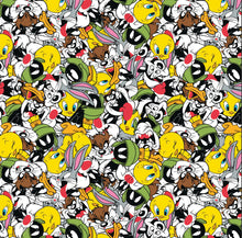 Load image into Gallery viewer, Looney Tunes Party - Minky - 1/2 Meter
