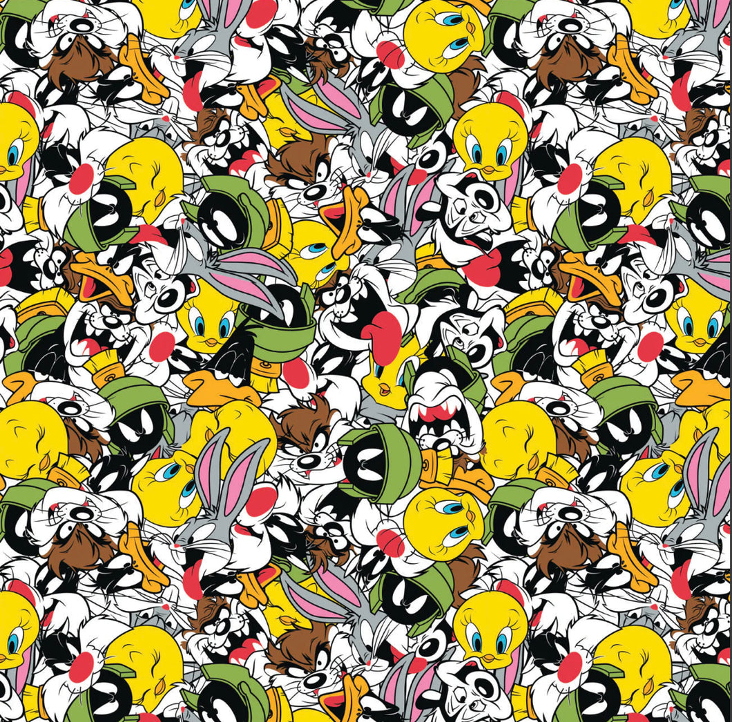 Looney Tunes Party - Minky - 1/2 Meter