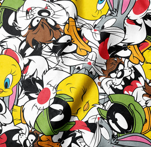 Looney Tunes Party - Minky - 1/2 Meter